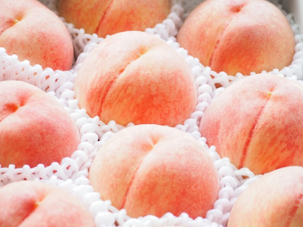 和歌山の桃ギフト