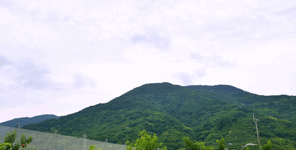 紀州富士こと龍門山の写真